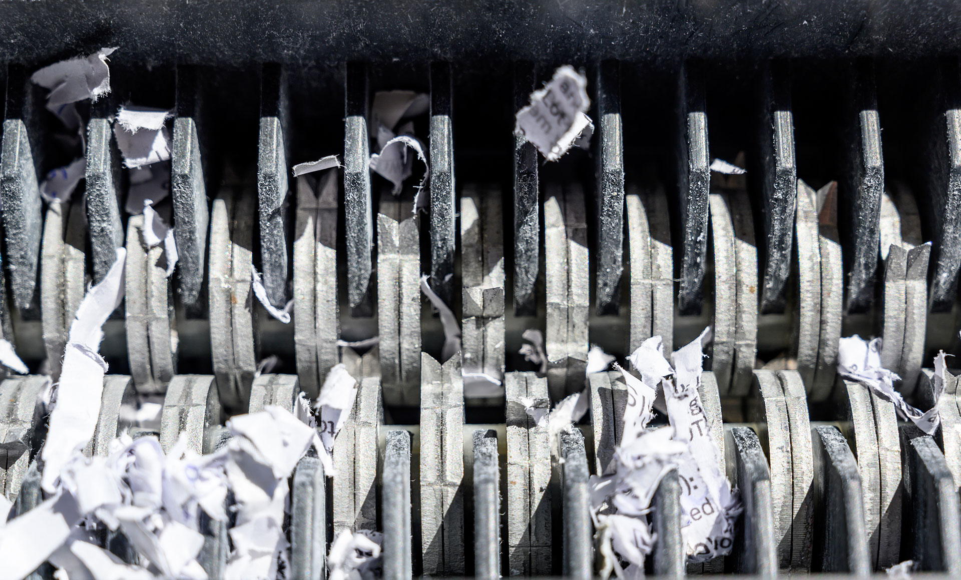 Document and data shredding